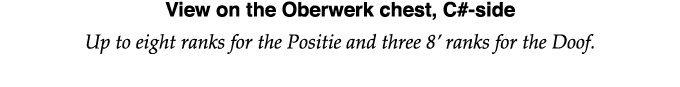 View on the Oberwerk chest, C#-side Up to eight ranks for the Positie and three 8  ranks for the Doof 