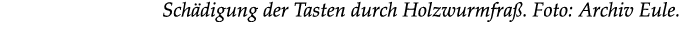 Sch digung der Tasten durch Holzwurmfra . Foto: Archiv Eule.