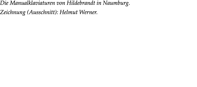 Die Manualklaviaturen von Hildebrandt in Naumburg. Zeichnung (Ausschnitt): Helmut Werner.
